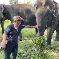 Elephants