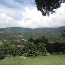 Green everywhere! 