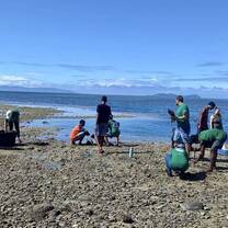Mangrove planting session.