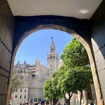 Seville's beautiful cathedral