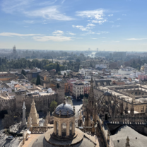 Study Abroad Spring 2022