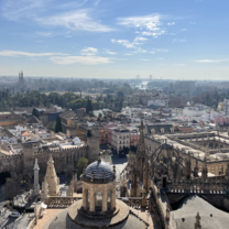 Study Abroad Spring 2022