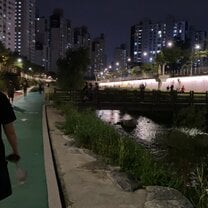Late night walk by river