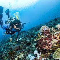Diving