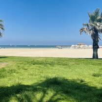 Sea in Palestine
