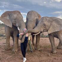 Elephant Walk, Garden Route, South Africa