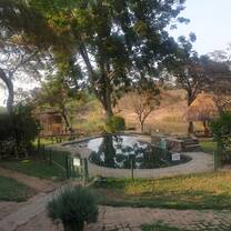 Back garden/sanctuary