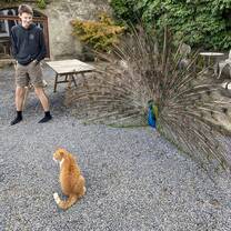 Iconic duo - George the peacock and cash.