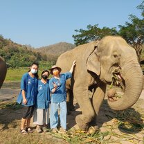 It was so fun to visit a couple of the beautiful elephant sanctuaries in Chiang Mai!
