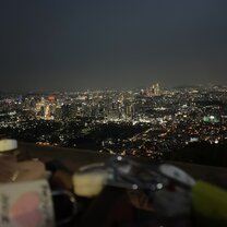 Seoul city view 