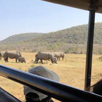 Rhino monitoring 