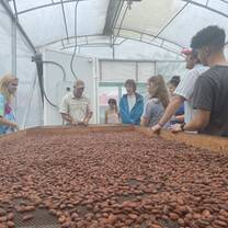 We were able to tour a coco farm