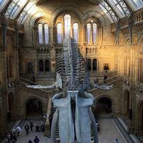 Natural History Museum 