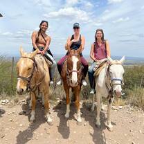Horseback excursion 