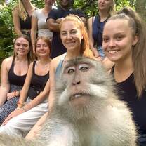 Monkey forest!
