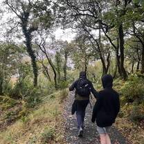 Walk in the woods
