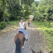 Horse riding in the mountains!