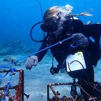 Coral restoration!