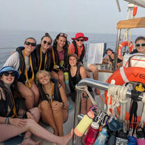 Hours before bioluminescent dolphins guided us to Gibraltar