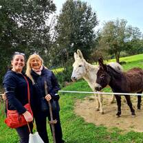 Visit to Rukimon, a donkey reserve in the Montnege i Corredor Park