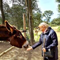 Feeding a donkey at Rukimon, a donkey reserve in the Montnege i Corredor Park