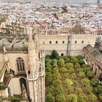 The view from the cathedral in Seville 