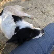 sleeping