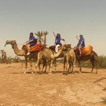 I got to ride a camel!