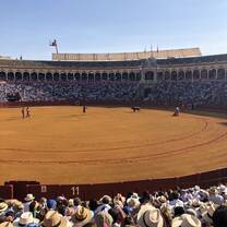 Bull fight in Seville 