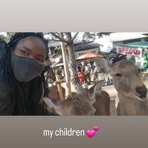 Nara Deer Park