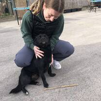 Me playing with one of the dogs at the shelter :)