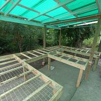 Improving tree nursery by building a nursery table and irrigation system