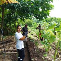 Fixing the lasagna beds of our organic garden