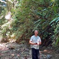 On tour in the rainforest