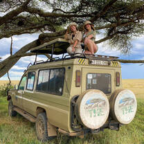safari