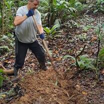 Working in the Rainforest