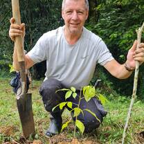 Treeplanting