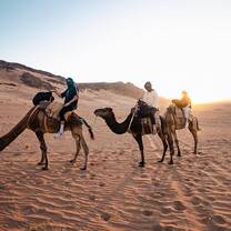Camel Riding in Morocco. Only a two hour flight from Barcelona