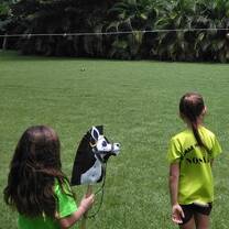 Children on the schoolyard