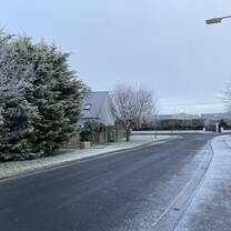 Frosty