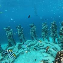 Snorkeling at Gili!