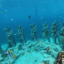 Snorkeling at Gili!
