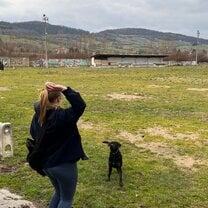 Playing with dogs