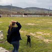 Playing with dogs