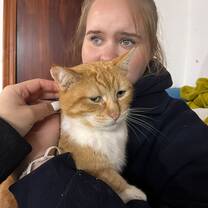 My favourite cat