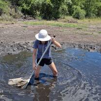 Field work in natural hot springs