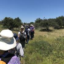 Walking through the savanna for lecture