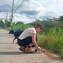Feeding runs to the local packs