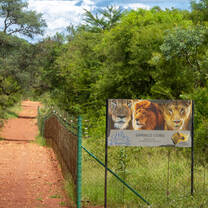 SanWild Lion Sanctuary 