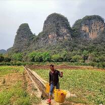 The traditional life.